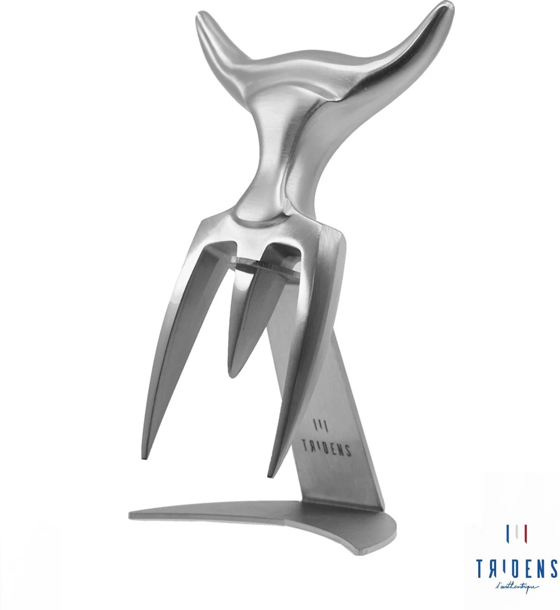 Tridens Brushed Fork Dans Un Support En Acier Inoxydable (Fourchette Ă Viande En Acier Inoxydable Standard)