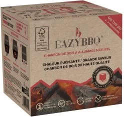 EAZYBBQ ON THE GO Charbon De Bois De Bois à Allumage Naturel