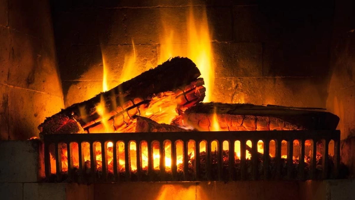 Prof-Fire - Nettoyeur De Cheminée Professionnel - FSC - Bloc Anti Suie - Qualité Professionnelle – Image 3