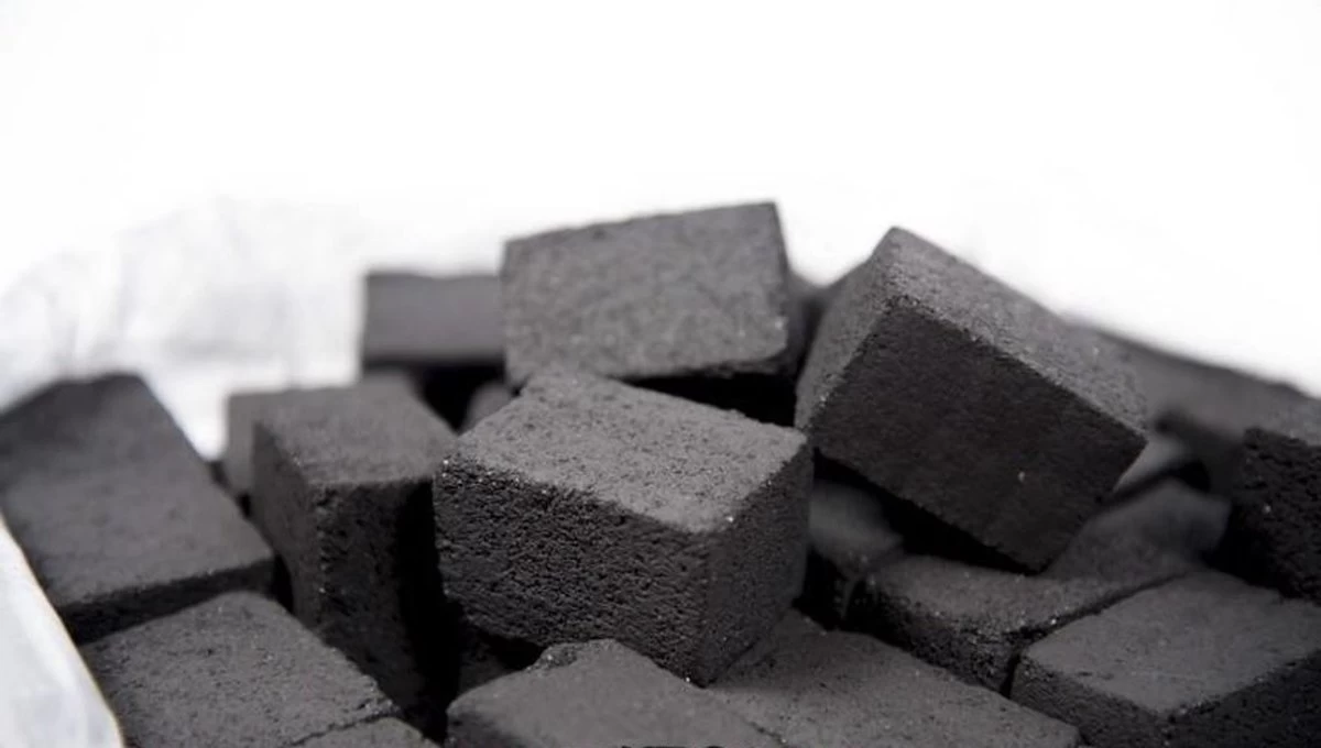 Bali Briquettes - Briquettes De Noix De Coco - Briquettes De Noix De Coco - Noix De Coco - Charbon De Bois - BBQ - 12 KG – Image 5