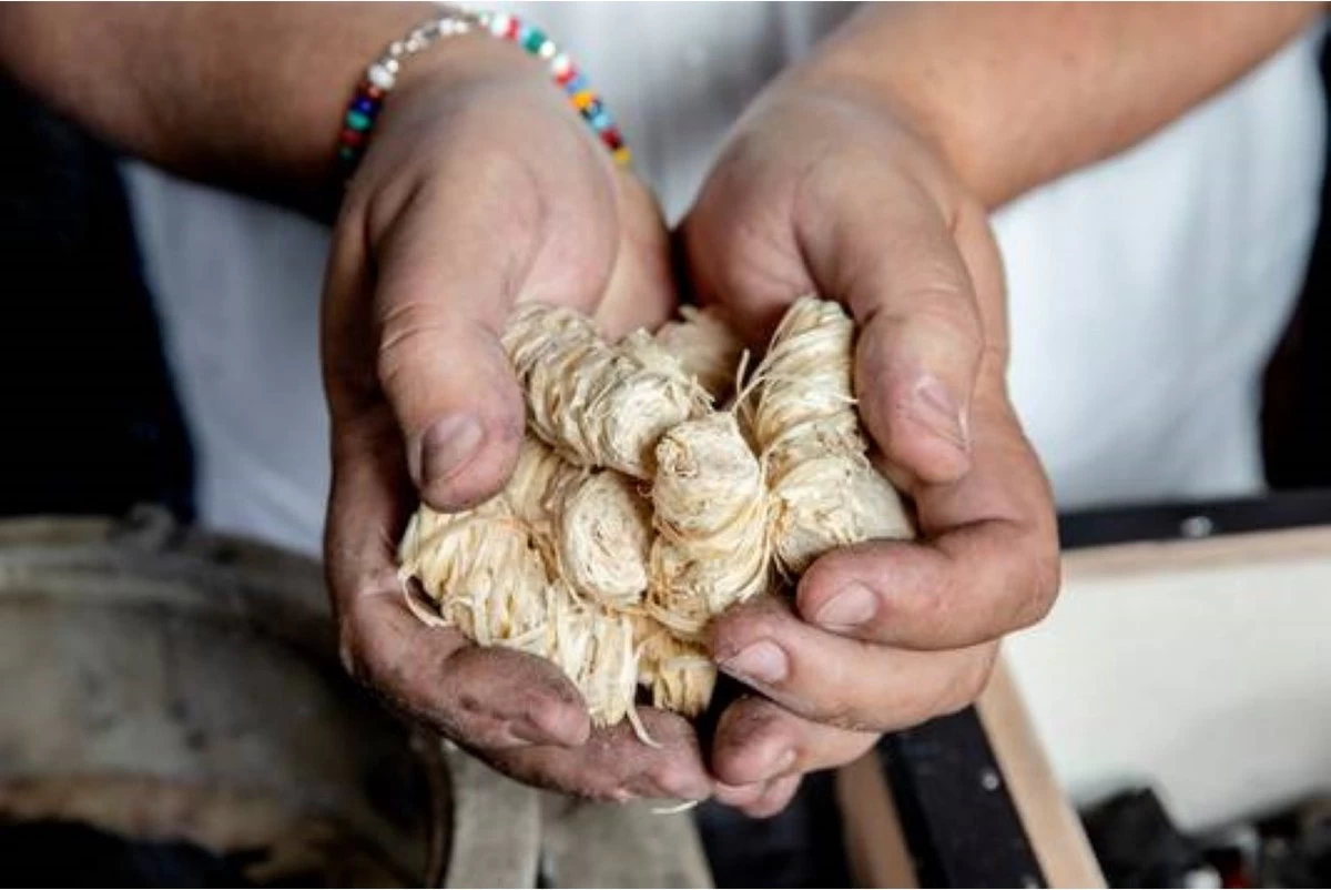 Boucles à Briquet En Laine De Bois Samba 320 Pièces, 4 Kg. Dans Un Carton Extérieur - Respectueux De L'environnement - Neutre En CO2 - FSC® – Image 6