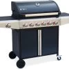 Barbecue à Gaz Bazin 6 Anthracite 6 Brûleurs 1 Brûleur Latéral Avec Panneaux Latéraux Et Thermomètre - Raccordement Gaz G1 2 F15-21 Inclus.